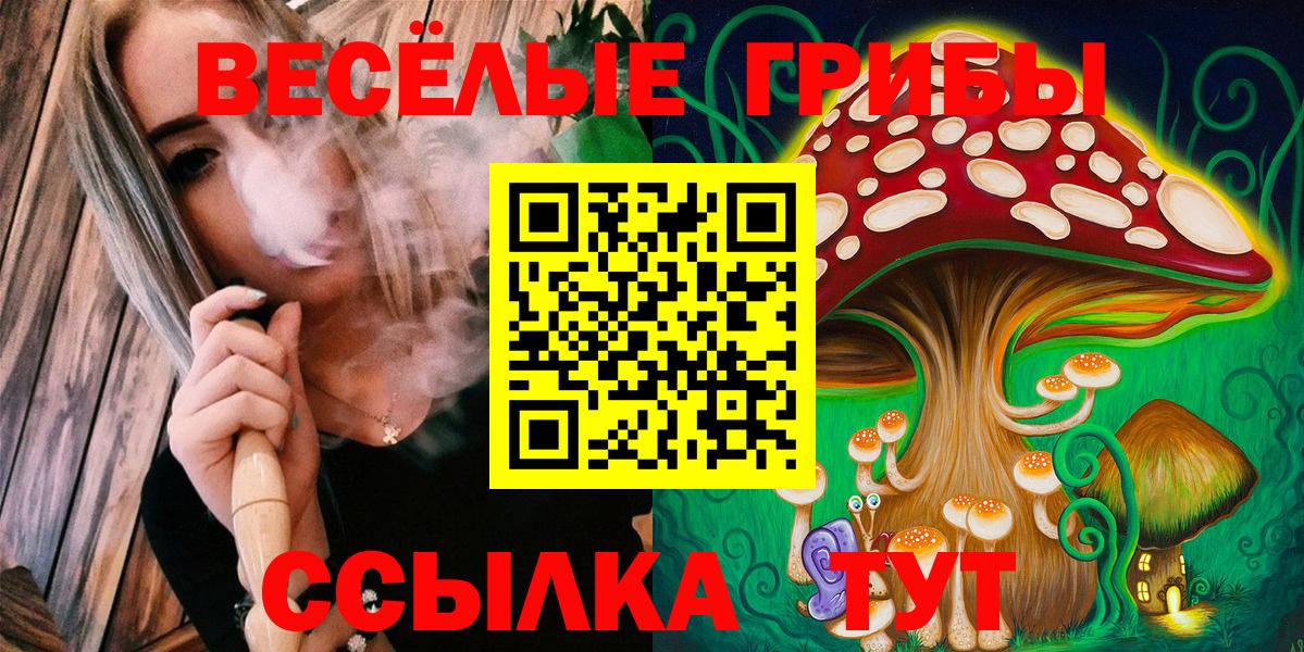 Галлюциногенные грибы мухоморы Новошахтинск
